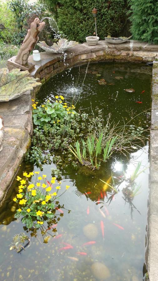 Bed and Breakfast Le Jardin Des Secrets La Voivre  Exterior foto