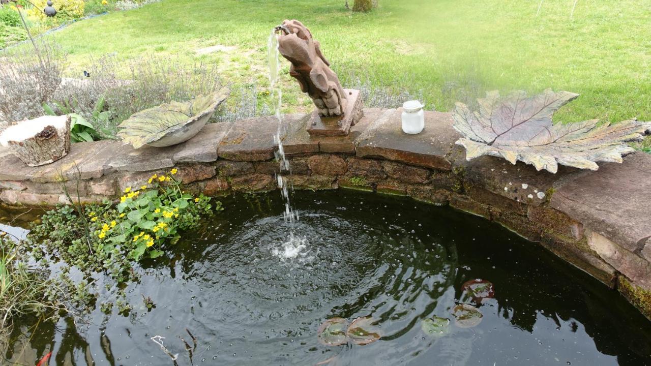 Bed and Breakfast Le Jardin Des Secrets La Voivre  Exterior foto