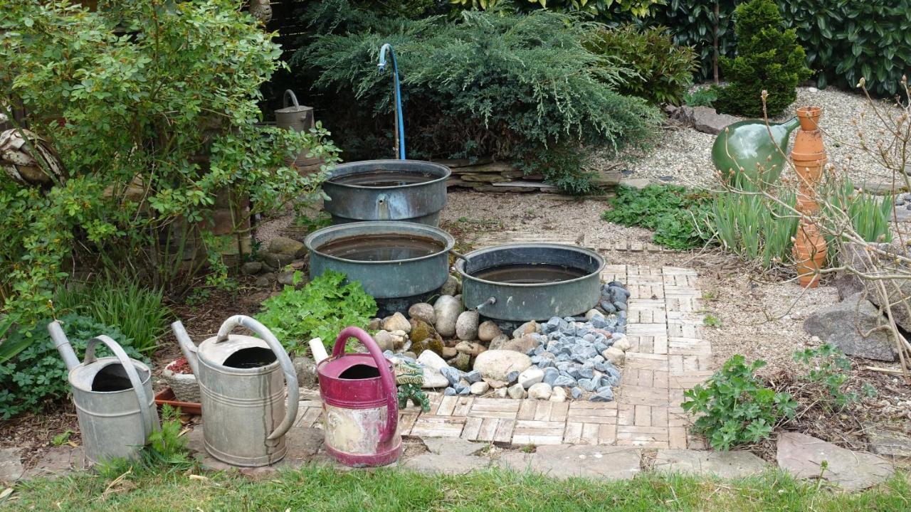 Bed and Breakfast Le Jardin Des Secrets La Voivre  Exterior foto